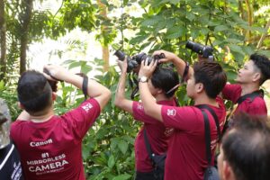 de7d81bf-cc32-40c1-80d9-4db386c00596