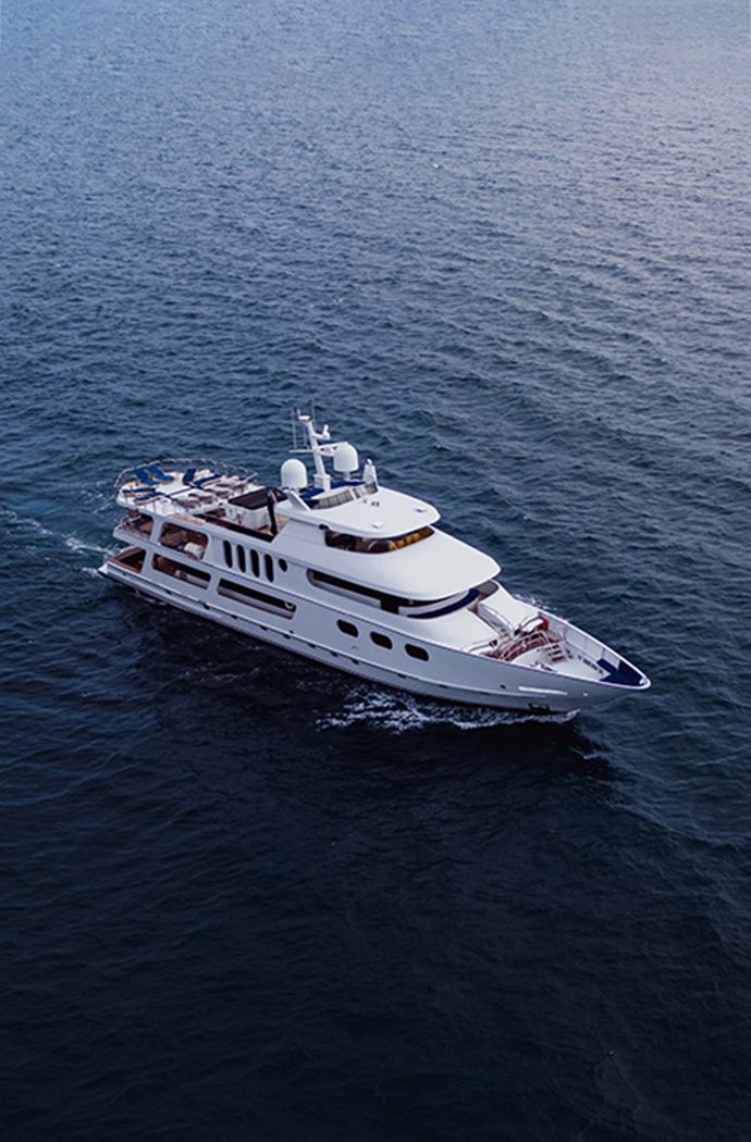 home_boats_d home_boats_d